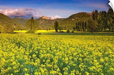 Italy, Labro, View of the town in spring with a field of canola