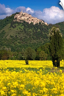 Italy, Labro, View of the town with a field of canola flowers in the foreground