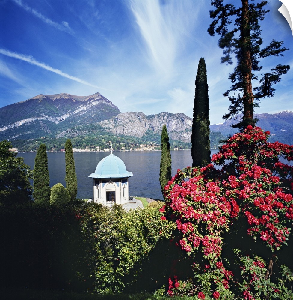 Italy, Lombardy, Como Lake, Bellagio, Mediterranean area, Como district, Travel Destination, Villa Melzi,rhododendron in t...