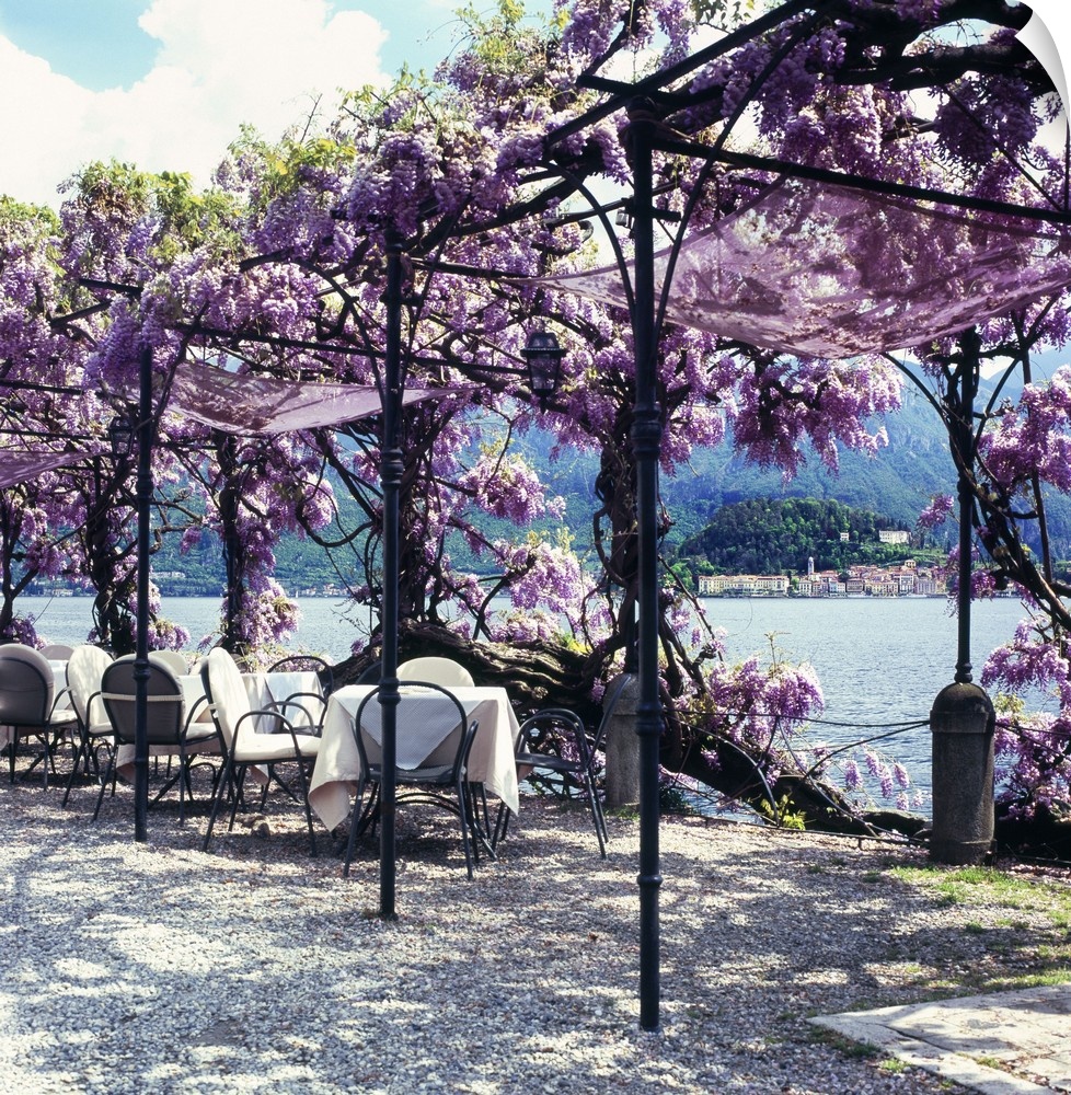 Italy, Lombardy, Como Lake, Tremezzo, Mediterranean area, Como district, Travel Destination, Restaurant on lakside,pergola...