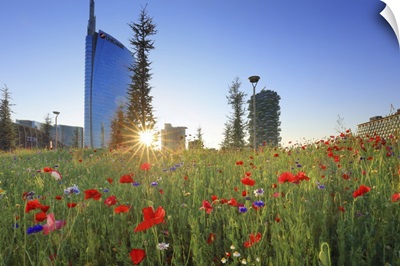 Italy, Lombardy, Milan, Flowers With The Unicredit Tower, The Bosco Verticale At Sunset