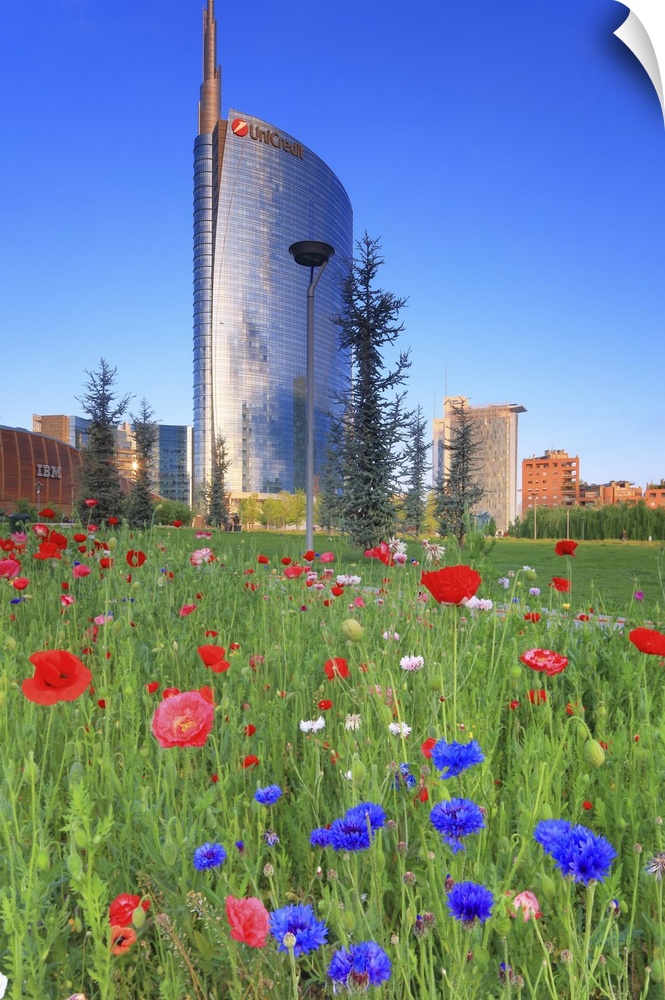 Italy, Lombardy, Milano district, Milan, Porta Nuova, Flowers and the Unicredit Tower at dawn.