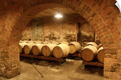 Italy, Lombardy, Oltrepo Pavese, Casteggio, Frecciarossa wine cellar