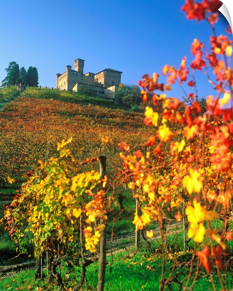 Italy, Italia, Piedmont, Piemonte, Langhe, Vineyards and Grinzane Cavour castle