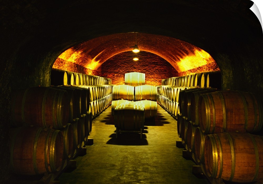 Italy, Piedmont, Monferrato, Asti district, Casa Vinicola Coppo, the winecellar