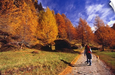Italy, Piedmont, Veglia Devero Natural Park, Crampiolo, Trekking