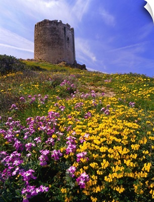 Italy, Sardinia, Isola Rossa, Torre Aragonese