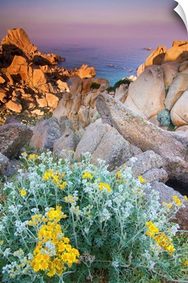 Italy, Sardinia, Typical granite rock formations of Gallura