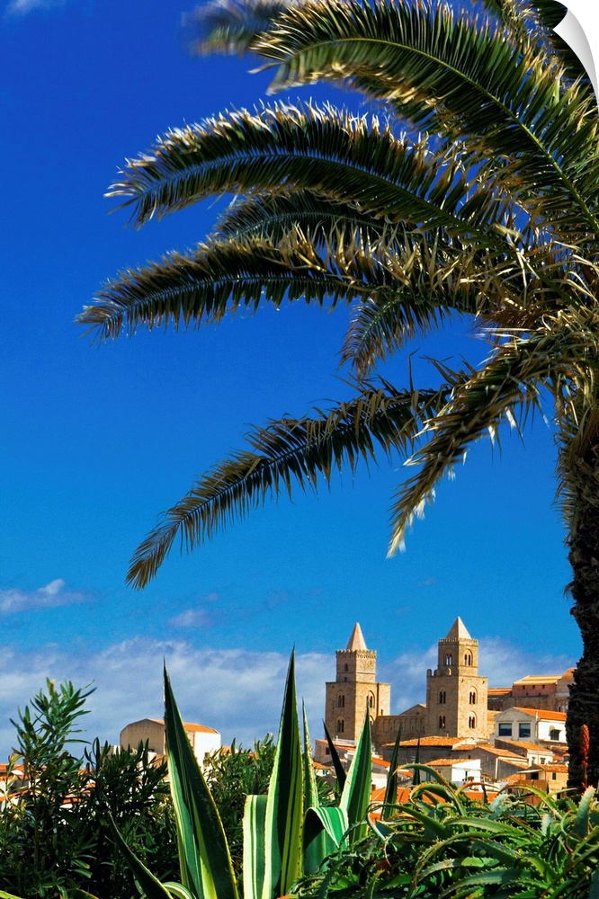 Italy, Italia, Sicily, Sicilia, Cefal., palm tree and cathedral in background