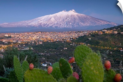 Italy, Sicily, Mediterranean area, Catania district, Bronte, View towards Mount Etna