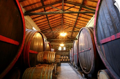 Italy, Sicily, Mount Etna, Milo locality, Barone di Villagrande winery