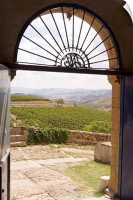 Italy, Sicily, Sclafani Bagni, Regaleali winery, view towards vineyards