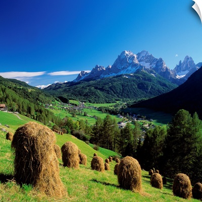 Italy, South Tyrol, Haystacks in Sesto towards Dolomites of Sesto