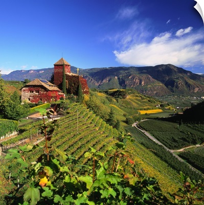 Italy, South Tyrol, wine-road, Warth castle and vineyard towards Bolzano