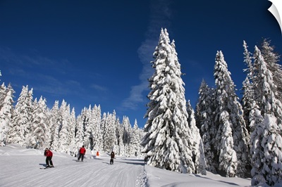 Italy, Trentino-Alto Adige, Adamello Brenta Natural Park, Pradalago ski area