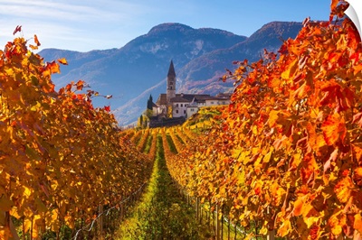 Italy, Trentino-Alto Adige, Alps, South Tyrol, Cortaccia, Church And Vineyards In Autumn