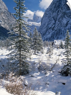 Italy, Trentino-Alto Adige, Dolomites, Alta Pusteria, Dobbiaco, Landro valley
