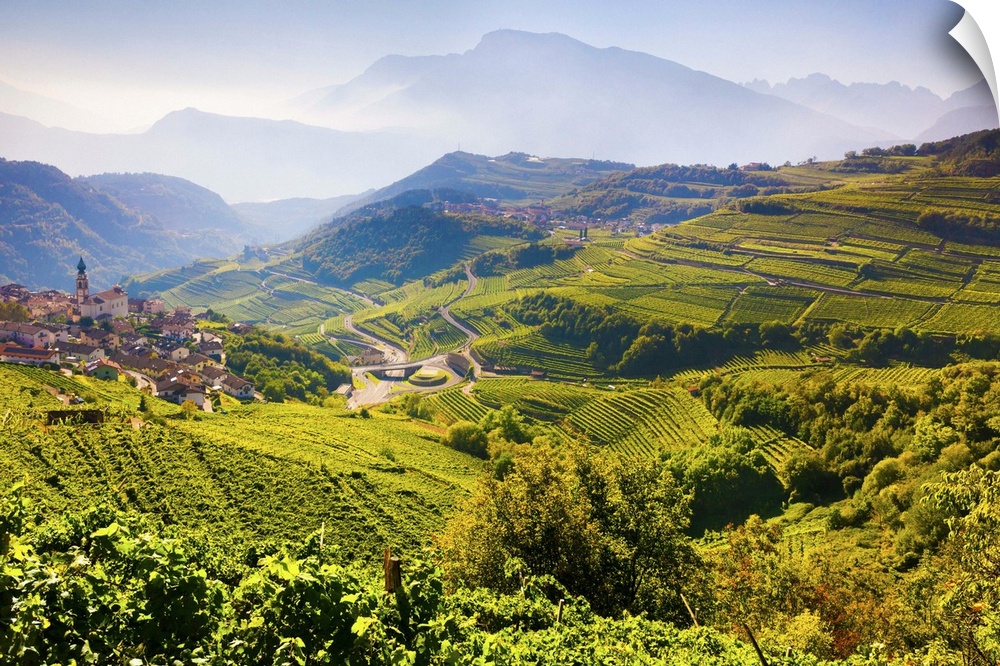 Italy, Trentino-Alto Adige, Alps, Trento district, Trentino, Val di Cembra, Giovo, village of Giovo and vineyards of Val d...
