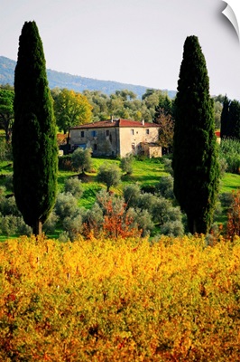 Italy, Tuscany