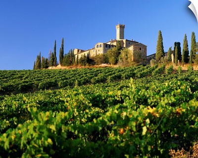 Italy, Tuscany, Banfi farm, vineyard and castle