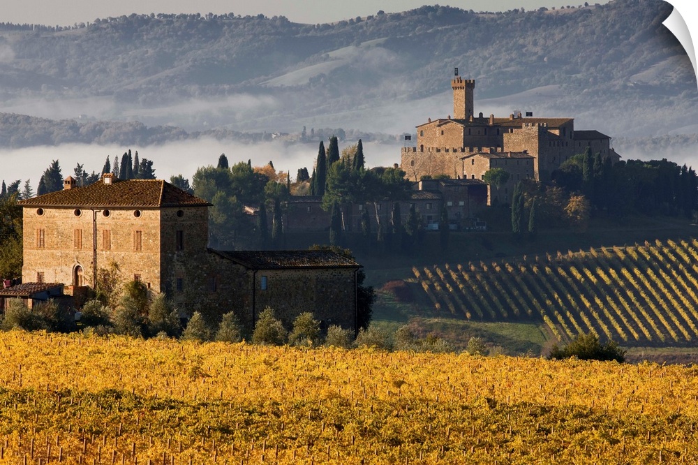 Italy, Tuscany, Mediterranean area, Brunello wine road, Siena district, Orcia Valley, Montalcino, Poggio alle Mura Castle ...