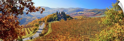 Italy, Tuscany, Castellina in Chianti, Vineyards