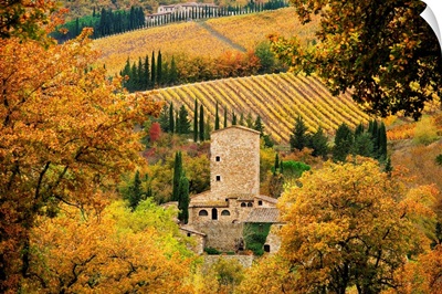 Italy, Tuscany, Chianti, Castellina in Chianti, Lanscape close to Piazza village