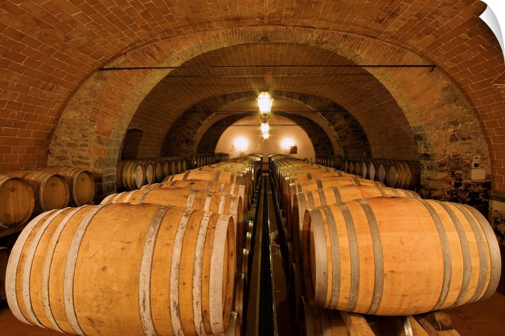 One of the cellars of the Castello d'Albola, one of the biggest vineyards of the Chianti region, near the village of Radda...