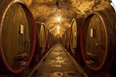 Italy, Tuscany, Chianti, Estate of Castello d'Albola, cellar