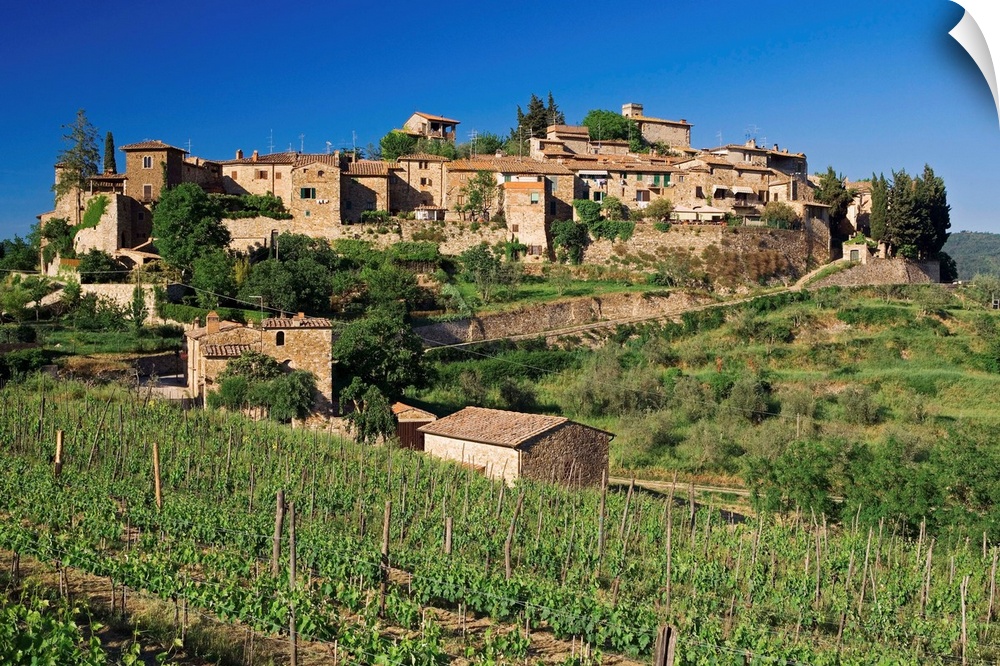 View of the medieval village of Montefioralle, perched on a hill surrounded by vineyards and olive trees near Greve in Chi...