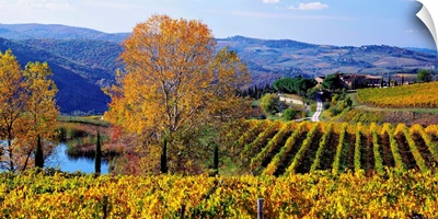 Italy, Tuscany, Chianti, Panzano in Chianti, landscape close to the village