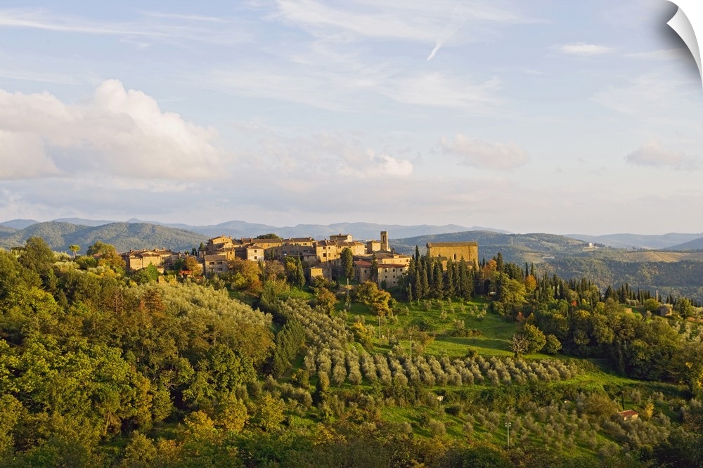 Italy, Tuscany, Chianti, Radda in Chianti, Siena district, View of Volpaia
