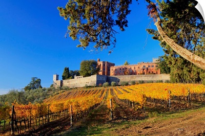 Italy, Tuscany, Chianti, Sunset on Barone Ricasoli vineyards at Brolio castle
