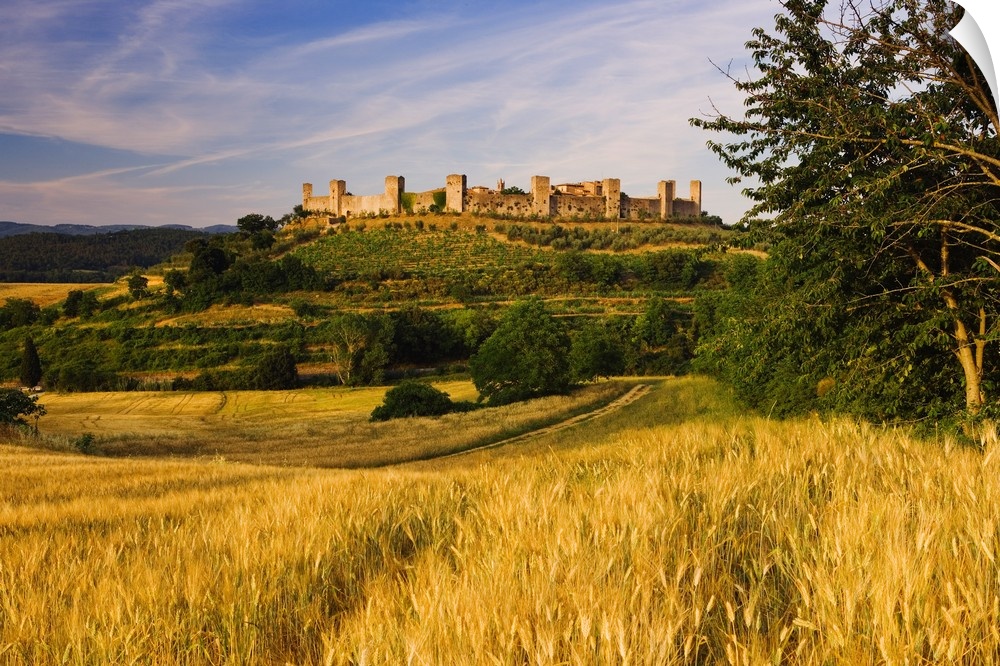 View of the walled medieval village of Monteriggioni, perched on a hill surrounded by hay fields and olive trees near Siena.