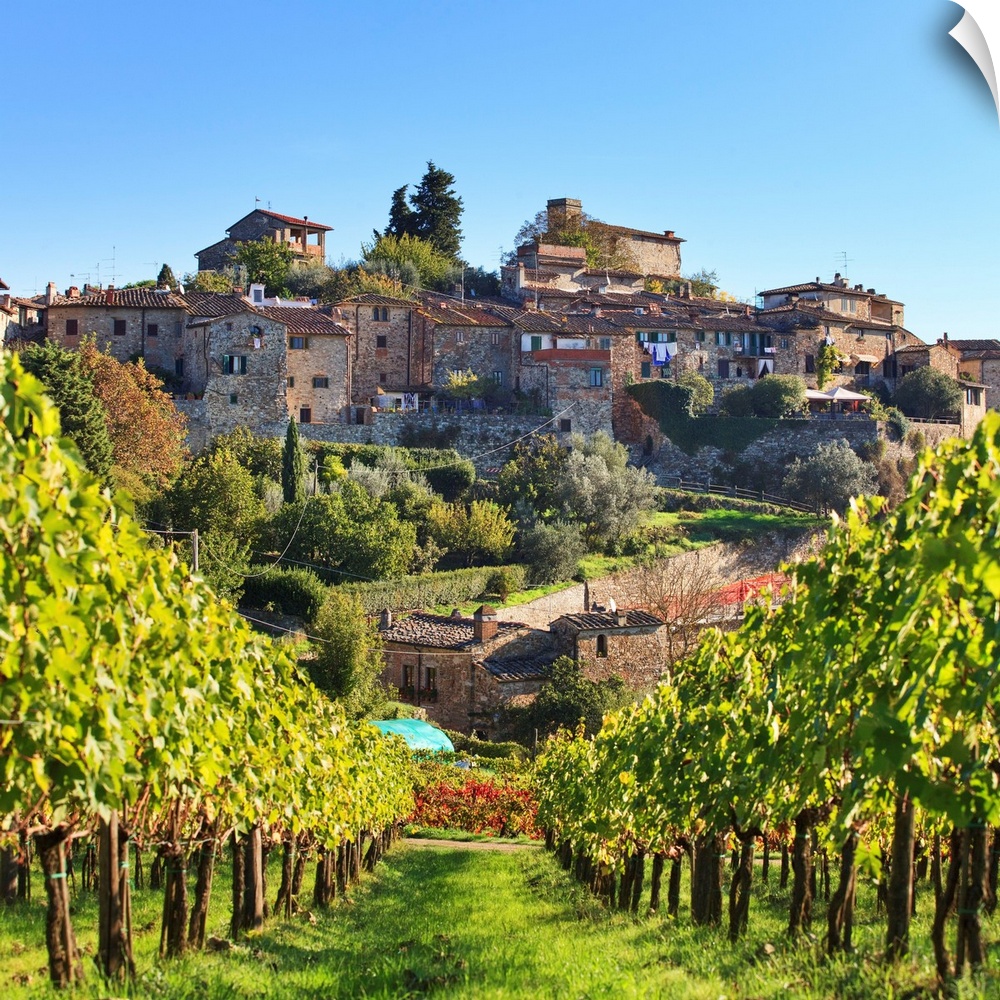 Italy, Tuscany, Firenze district, Chianti, Montefioralle.