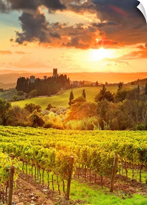 Italy, Tuscany, Firenze District, Tavarnelle Val Di Pesa, Badia A Passignano, Sunset
