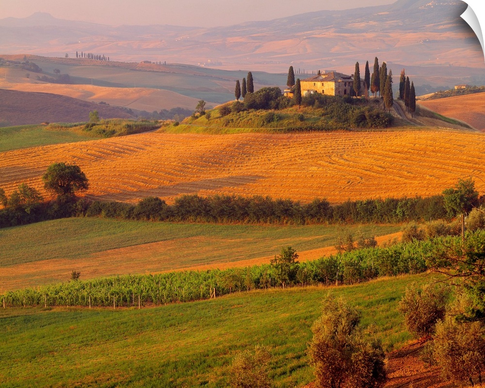 Italy, Tuscany, Landscape near San Quirico d'Orcia