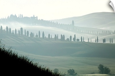 Italy, Tuscany, Landscape Near Siena