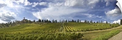 Italy, Tuscany, Montalcino, Poggio Alle Mura castle, Banfi vineyards