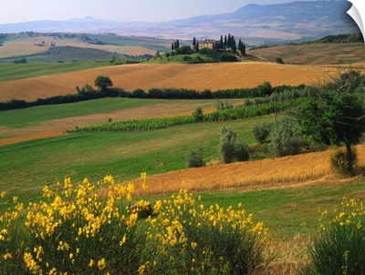 Italy, Tuscany, Orcia Valley, hills with cypress tress