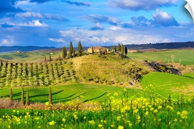 Italy, Tuscany, Orcia Valley, Hilly Landscape With Farmhouse And Blooming Fields