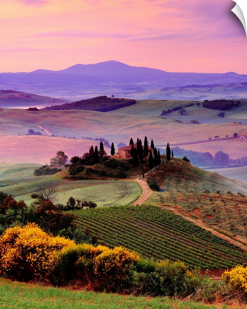 Italy, Italia, Tuscany, Toscana, Orcia Valley,Val d'Orcia, Landscape near San Quirico d'Orcia town