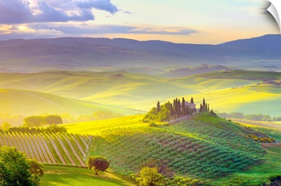 Italy, Tuscany, Orcia Valley, Tuscan Landscape Near San Quirico D Orcia At Sunrise