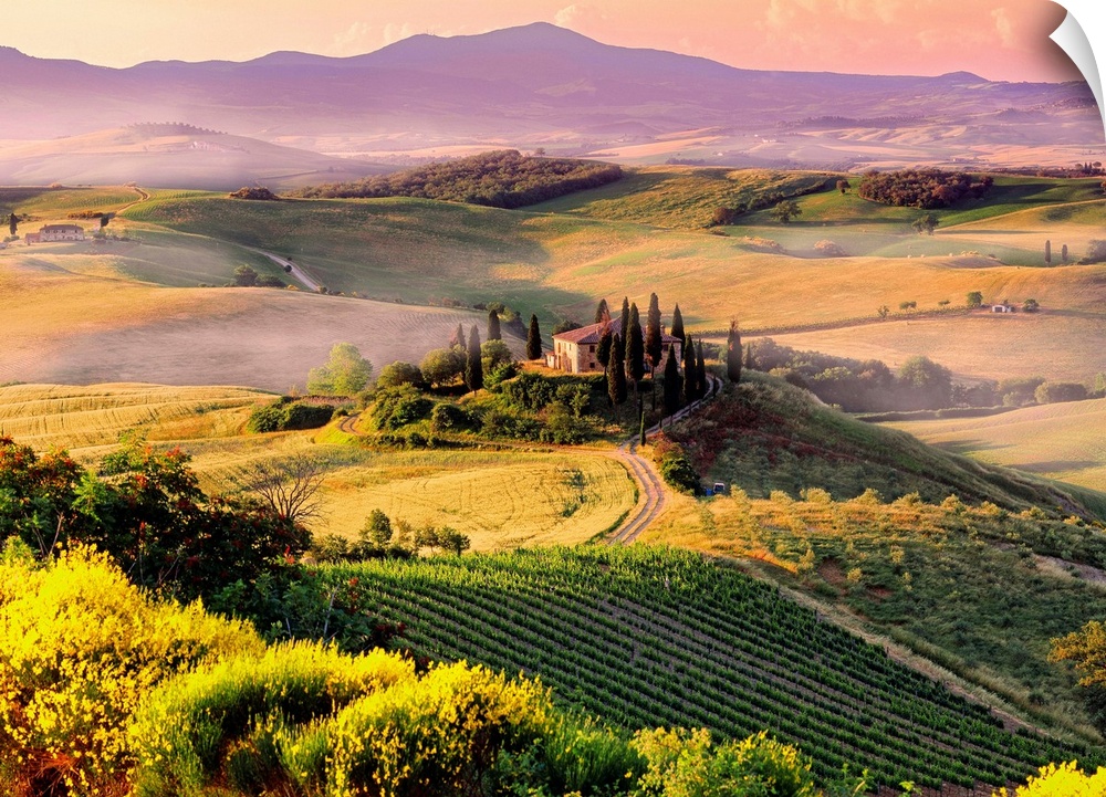 Italy, Italia, Tuscany, Toscana, Orcia Valley,Val d'Orcia, Typical landscape near San Quirico d'Orcia town