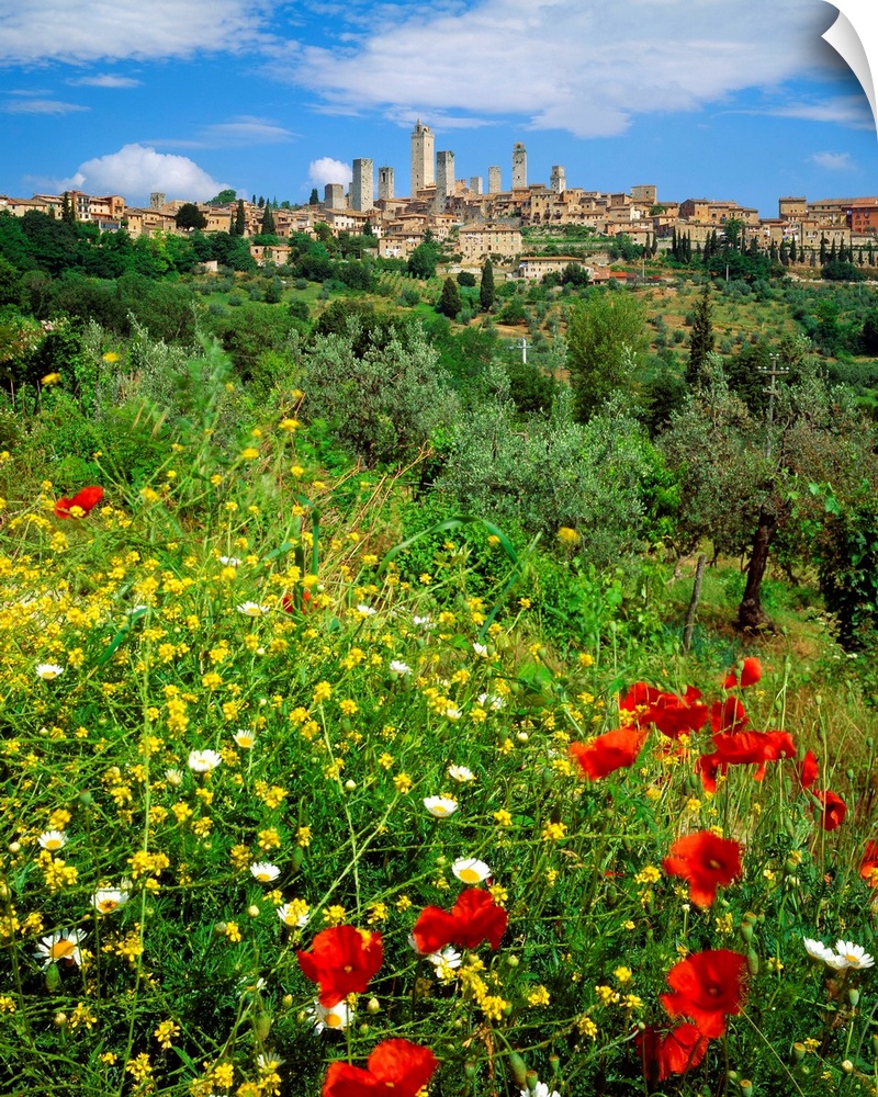 Italy, Tuscany, San Gimignano, view towards the town