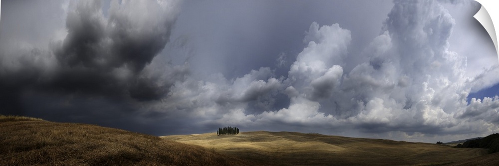 Italy, Tuscany, San Quirico d'Orcia, Storm over group of cypress trees.