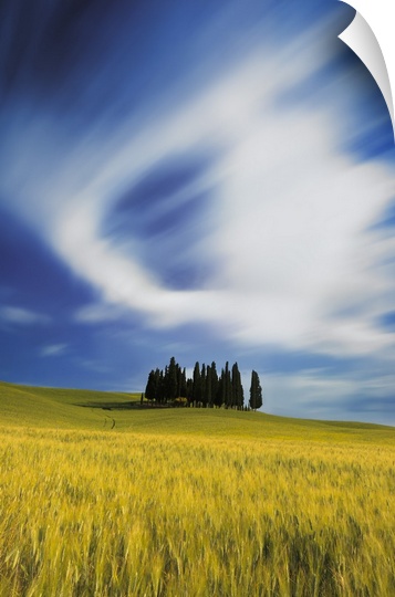 Italy, Tuscany, San Quirico d'Orcia, Typical landscape near San Quirico d'Orcia