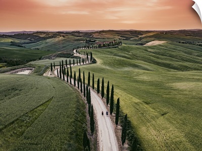 Italy, Tuscany, Siena District, Asciano, Typical Landscape Of The Crete Senesi