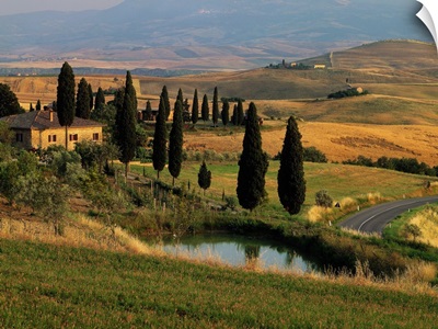 Italy, Tuscany, Typical landscape near Pienza