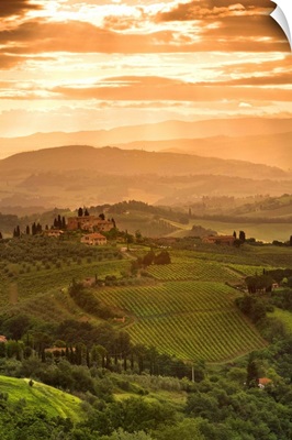 Italy, Tuscany, Val d'Elsa, Sunrise over a typical rural Tuscan landscape